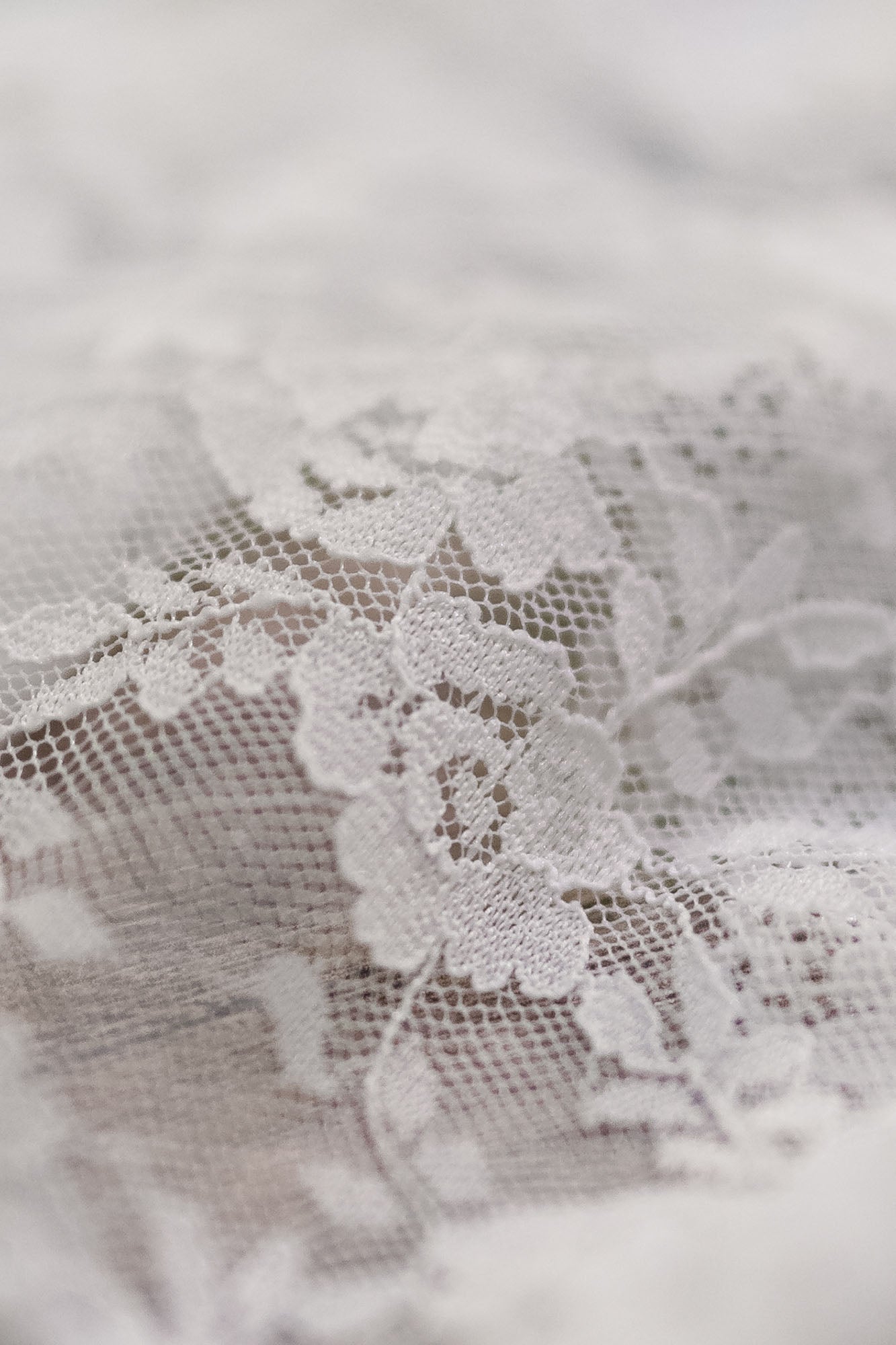 Tanga de encaje Rose